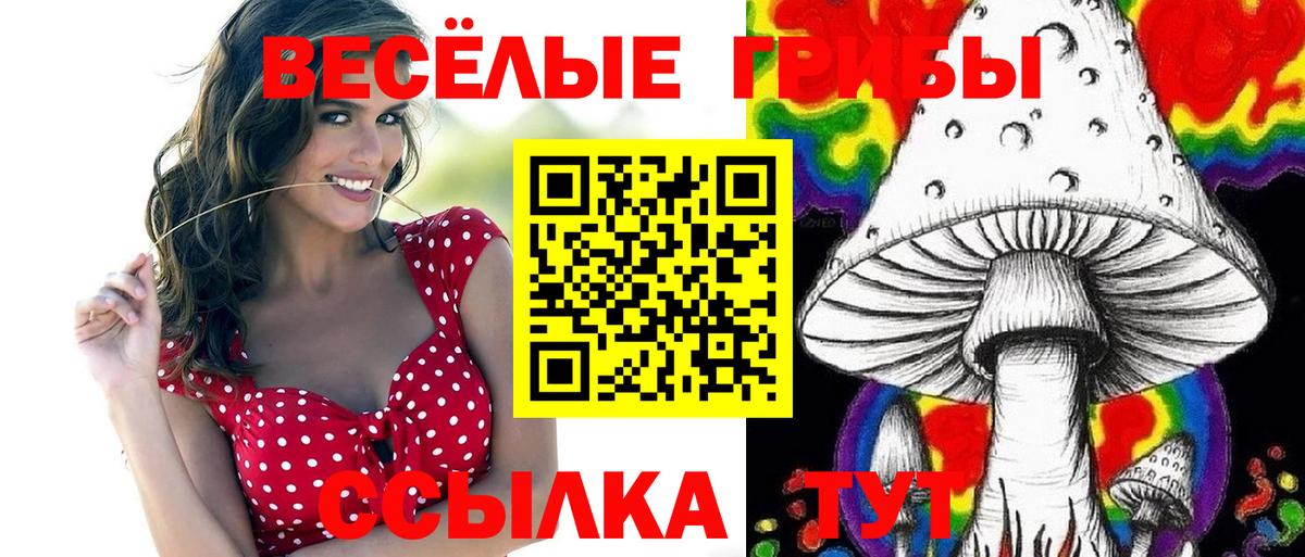 Галлюциногенные грибы прущие грибы  Псилоцибиновые грибы мухоморы  купить  сайты  Вход с VPN  Бор 